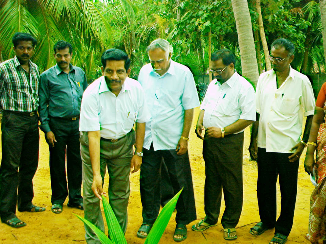 DFO Planting Coconut Sapling in Puthalam School