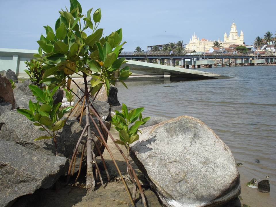 Mela Manakudy