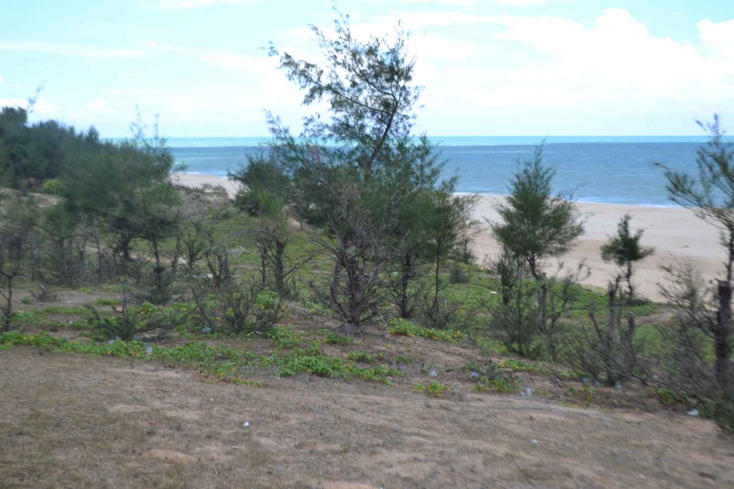 Degraded coastal area showing the impact of sand mining in Kanyakumari